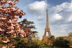 Фотообои Парк Парижа Артикул 14458