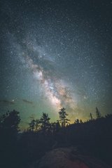 Фотообои Небо ночью над лесом Артикул nus_11050