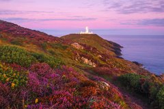 Фотообои Цветочные склоны и маяк Артикул nfi_02348