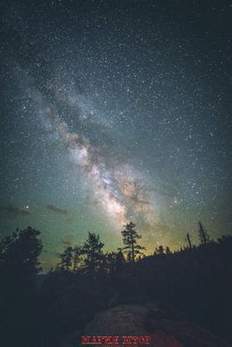 Фотообои Небо ночью над лесом Артикул nus_11050