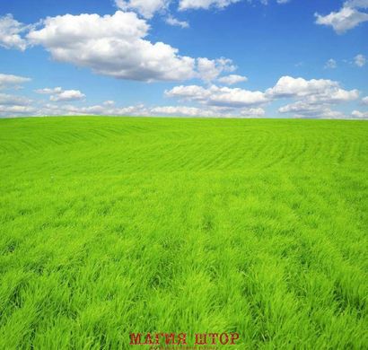 Фотообои Зеленая трава Артикул 802
