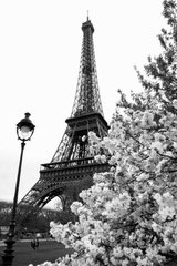 Фотообои Эйфелева башня в Париже, Франция Артикул 1779