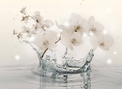 3D Фотообои Вода с орхидеями Артикул 47788