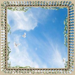 Фотообои Голубки в небе Артикул bur-170