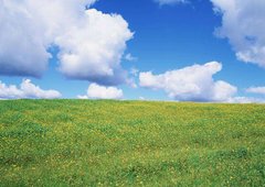 Фотообои Облака над зеленым полем Артикул 0690