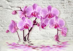 3D Фотообои Сиреневые орхидеи Артикул 31002