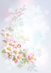 Фотообои Цветущая ветка Артикул 5114