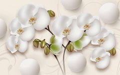 3D Фотообои Орхидеи на фоне белых шаров Артикул 35754