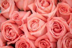 Фотообои Букет розовых роз Артикул 21137