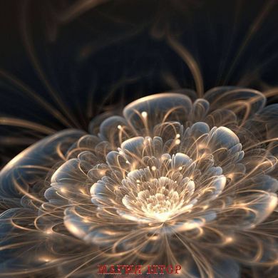 Картина Светящийся цветок Артикул 23403
