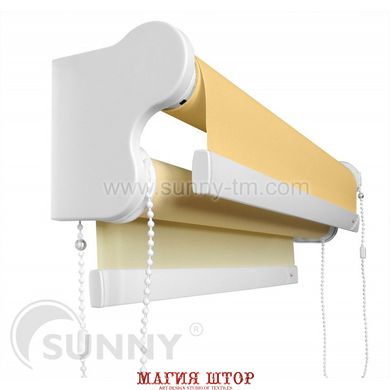 Рулонная штора RM-40 Duet