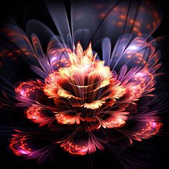 3D Фотообои Красивый абстрактный цветок Артикул 24175