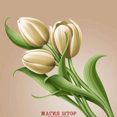 Фотообои Букет зеленых тюльпанов Артикул 21905