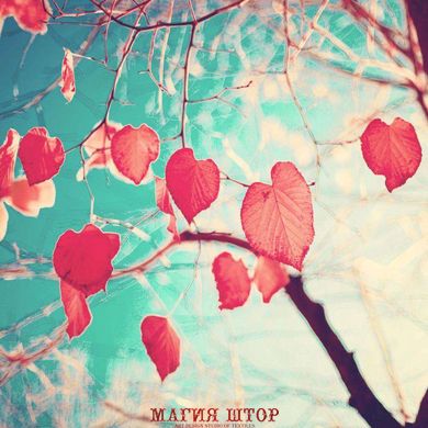 Фотообои Красные листья Артикул 7517