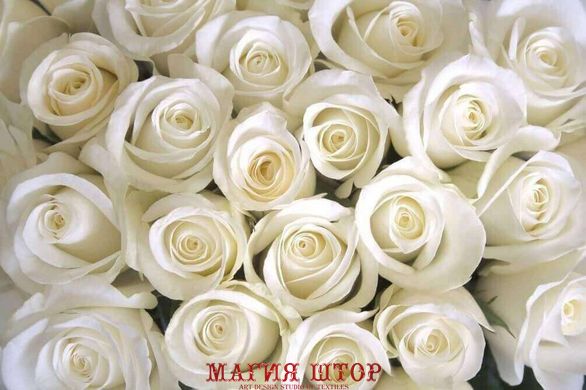Фотообои Букет белых роз Артикул 5623