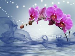 3D Фотообои Волшебные орхидеи над водой Артикул 40407