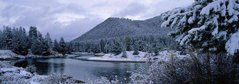 Фотообои Зимняя панорама Артикул 0399