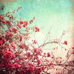Фотообои Розовые цветы на дереве Артикул 8479