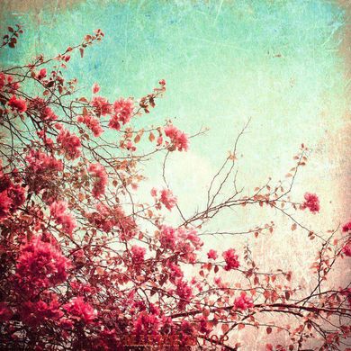 Фотообои Розовые цветы на дереве Артикул 8479