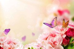 Фотообои Бабочки над цветами Артикул 4127