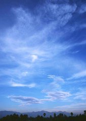 Фотообои Синее небо на закате Артикул 0698