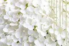 3D Фотообои Белые цветы с бусинками Артикул dec-185