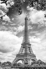 Фотообои Эйфелева башня Артикул 15165