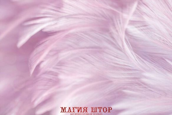 Фотообои Белые перья на розовом фоне Артикул shut_1502