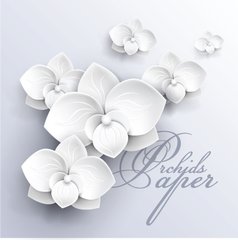 3D Фотообои Белая орхидея на сером Артикул 45012