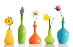 Фотообои Цветы в разноцветных вазах Артикул 3137