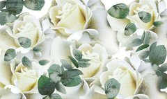3D Фотообои Бутоны белых роз Артикул 39527
