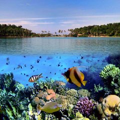 Фотообои Морское дно и вид на острова Артикул 0525