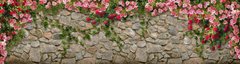 Фотообои Стена с розами Артикул 33169