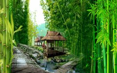 Фотообои Беседка в бамбуковой роще Артикул 55704