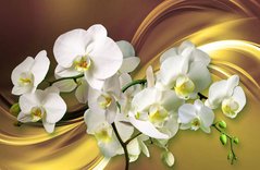 3D Фотообои Ветки с орхидеями Артикул 31013_2