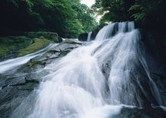 Фотообои Лесной водопад в горах Артикул 0328