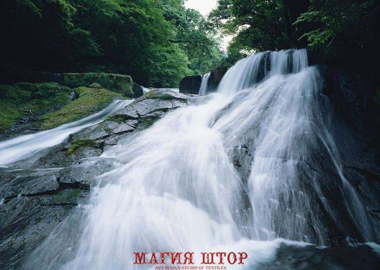 Фотообои Лесной водопад в горах Артикул 0328