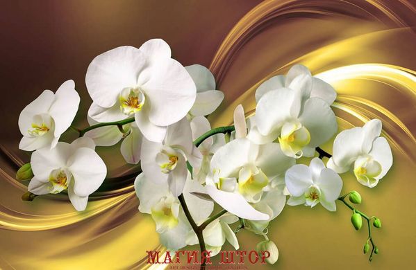 3D Фотообои Ветки с орхидеями Артикул 31013_2
