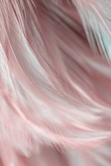 Фотообои Розовое с белым перо Артикул shut_1441