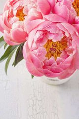 Фотообои Розовые пионы в вазе Артикул 20603
