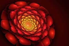 3D Фотообои Красивый цветок Артикул 24169