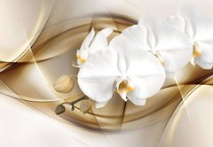 Фотообои Крупная белая орхидея Артикул 33520