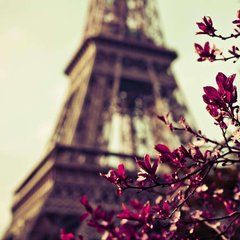 Фотообои Весна в Париже Артикул 12947