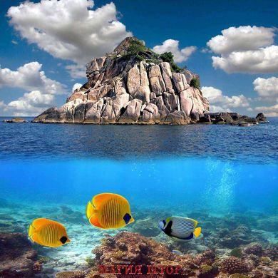 Фотообои Остров-скала в море Артикул 5573