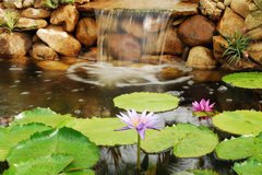 Фотообои Водопад и водяные лилии Артикул 1292
