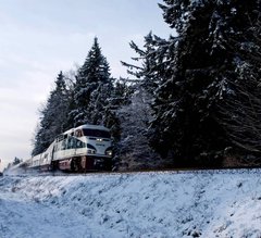 Фотообои Поезд и снежный лес Артикул nfi_02451