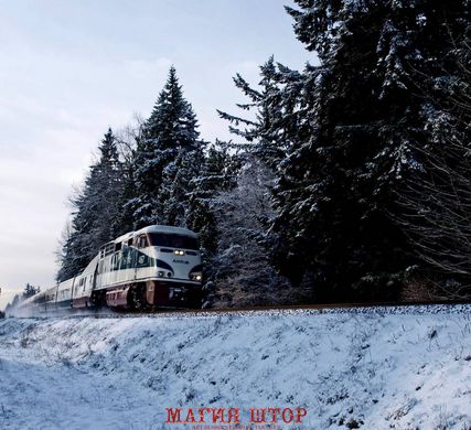 Фотообои Поезд и снежный лес Артикул nfi_02451