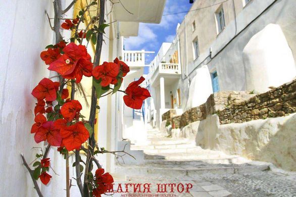 Фотообои Цветы на улице в Греции Артикул 3445
