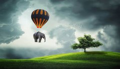 Фотообои Воздушный шар со слоном Артикул nfi_02064
