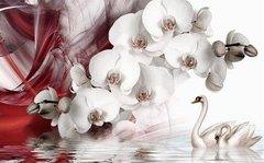 3D Фотообои Орхидеи и пара лебедей на воде Артикул dec-228
